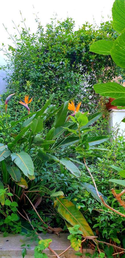 Вилла Garden House Pompei Vesuvio Треказе Экстерьер фото