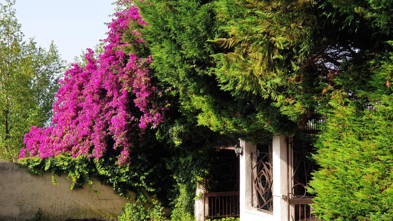 Вилла Garden House Pompei Vesuvio Треказе Экстерьер фото