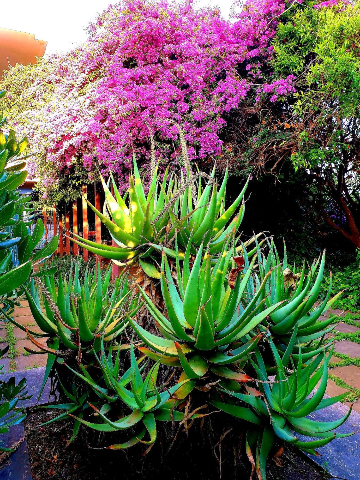 Вилла Garden House Pompei Vesuvio Треказе Экстерьер фото