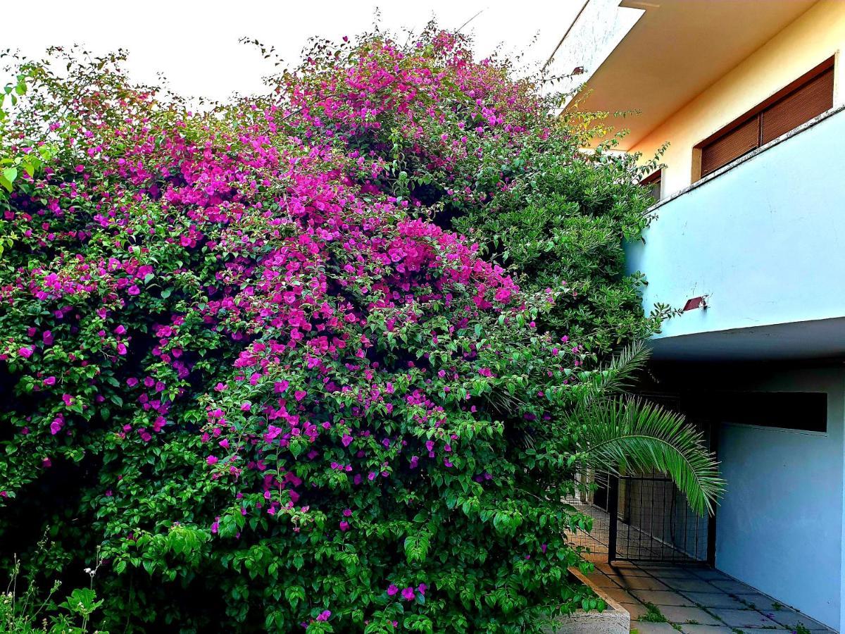 Вилла Garden House Pompei Vesuvio Треказе Экстерьер фото