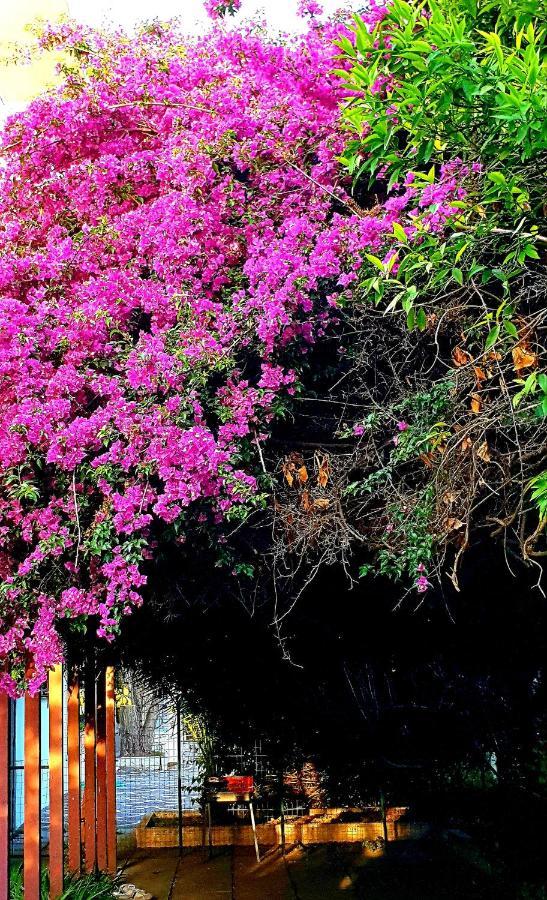 Вилла Garden House Pompei Vesuvio Треказе Экстерьер фото
