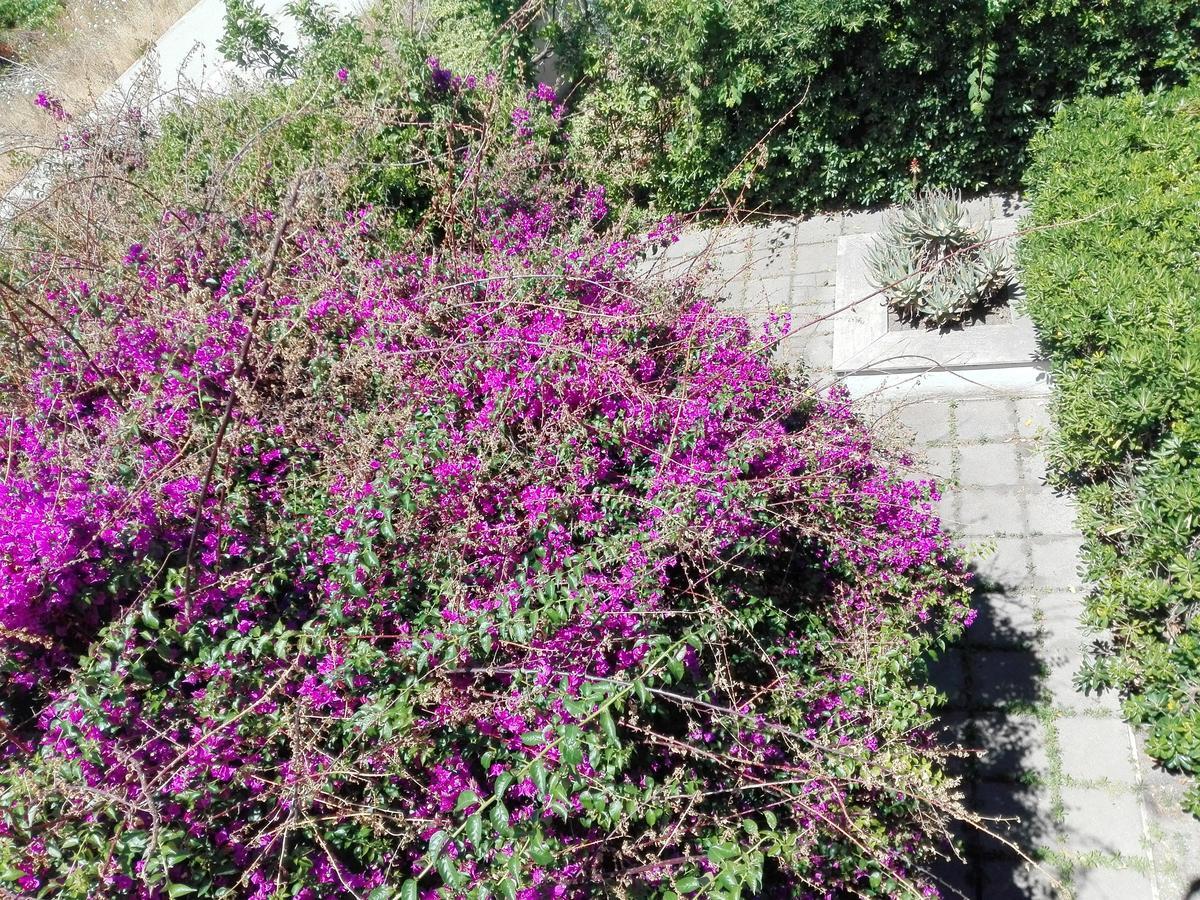Вилла Garden House Pompei Vesuvio Треказе Экстерьер фото